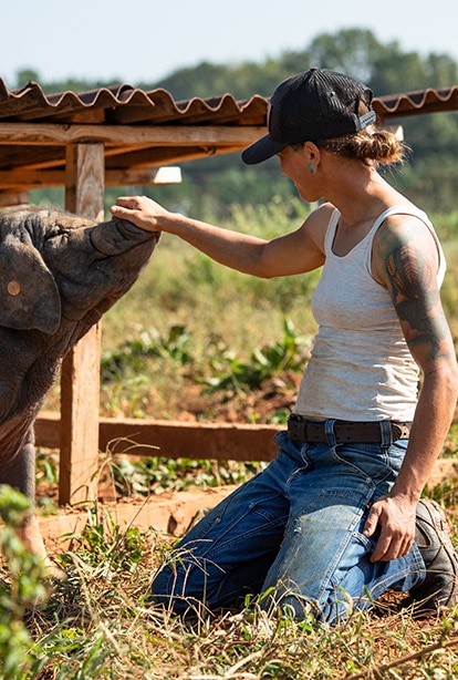 A person is petting a baby elephant on the trunk.