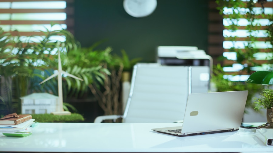 Modern eco-friendly office desk with laptop