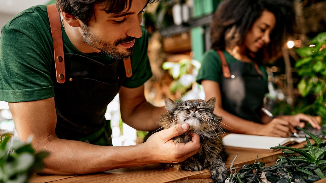 A small business owner in a plant shop petting their shop cat
