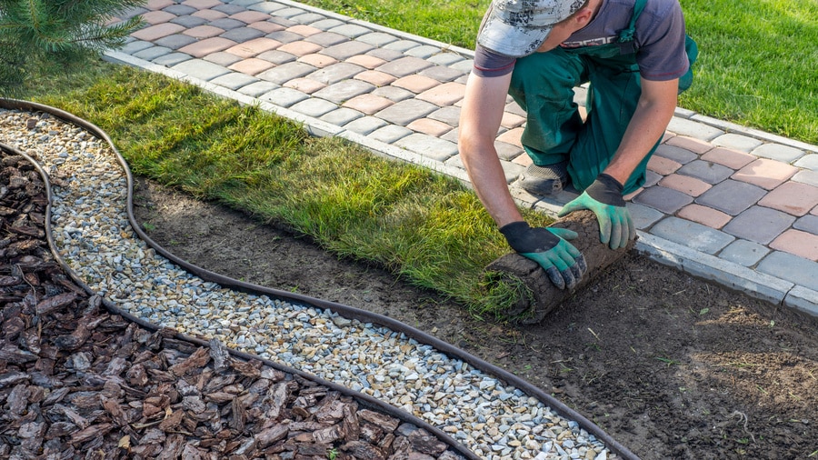 Landscaping business owner plants sod
