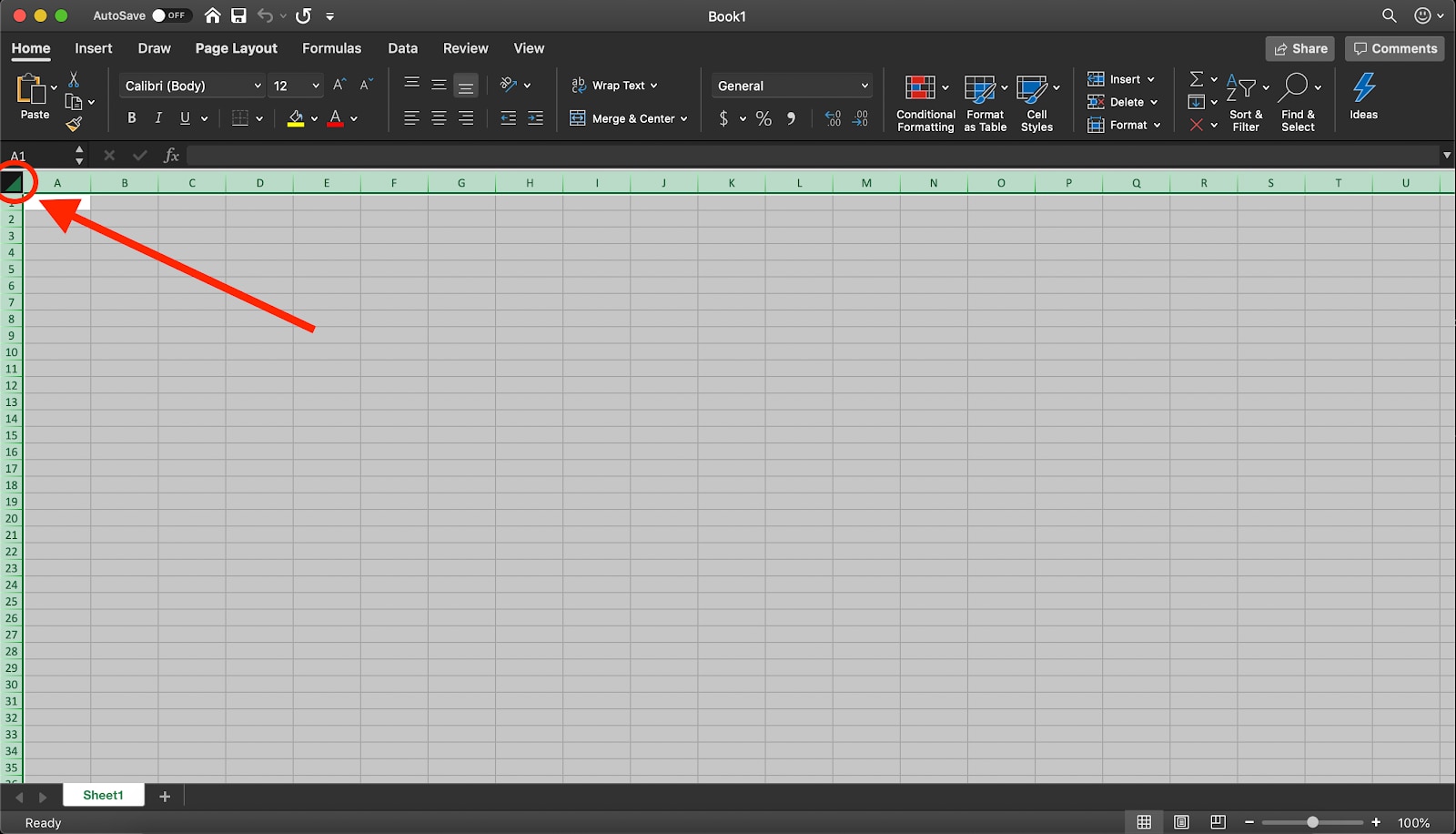 Screenshot of Excel spreadsheet, red arrow point to square symbol in top left-hand corner.