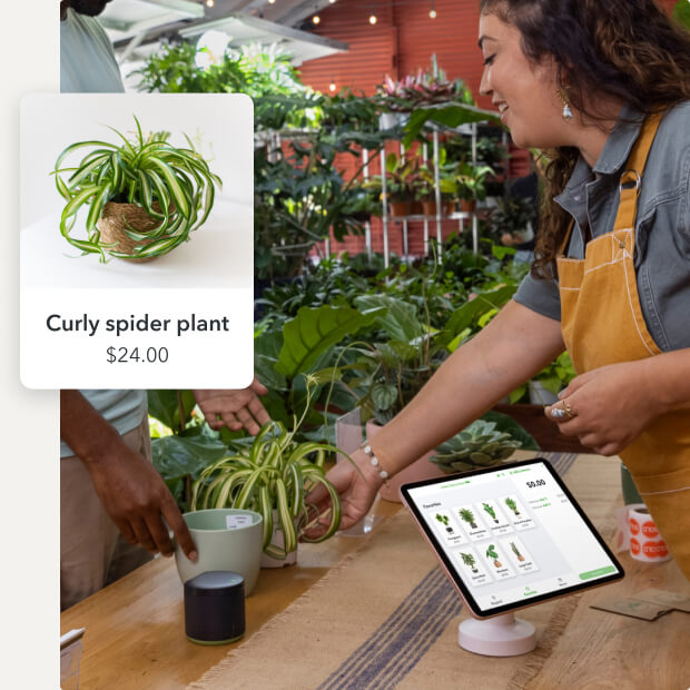 Owner of a nursery selling a plant, with shop inventory appearing on their tablet. Screen shows curly spider plant, $24.00.