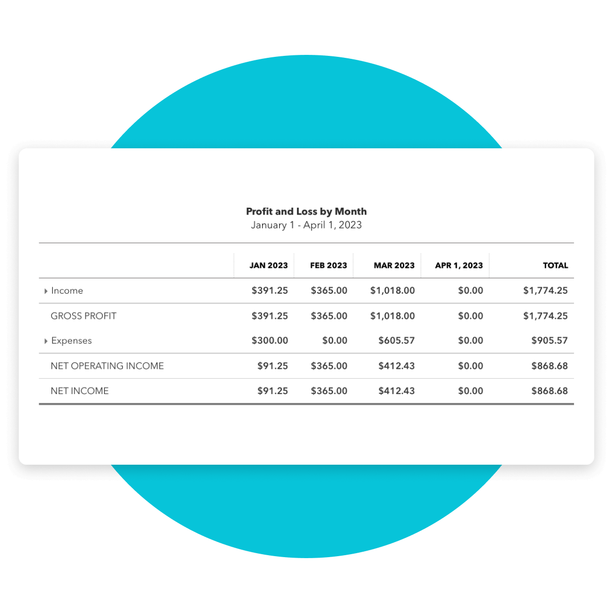 12-Month Profit & Loss Statement (PDF Form) Fully Editable