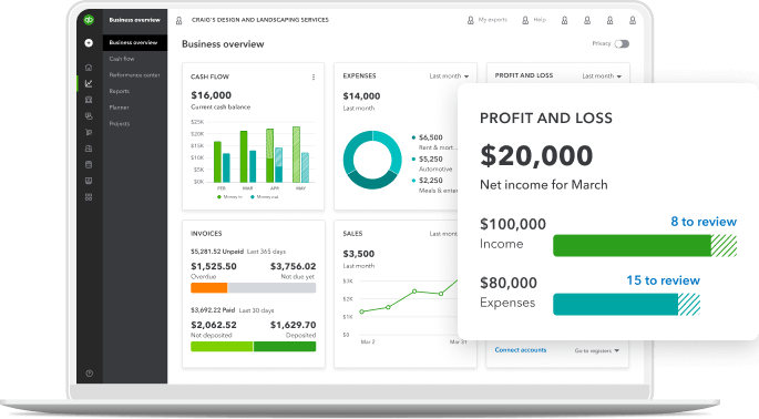 Laptop shows a business overview. Graphic overlay shows a Profit and Loss feature showing total net income for the month.