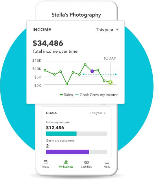 Phone showing insights for total income over time and income growth goals.