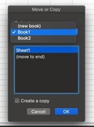 Screenshot of Excel spreadsheet dropdown, with “Book1...” option selected