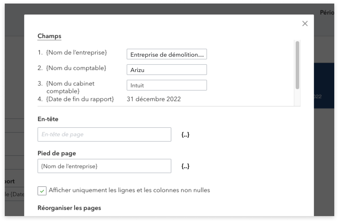 Fenêtre modale avec plusieurs sections : les champs contiennent le nom de l'entreprise, le nom du comptable, la date de fin du rapport et le nom de l'entreprise ; il est suivi des champs En-tête et Pied de page