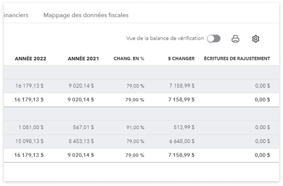 Écran des documents de travail montrant les chiffres pour l'année 2022 en contraste avec 2021, la variation en pourcentage et la variation du montant en dollars, suivi de la colonne des écritures d'ajustement.